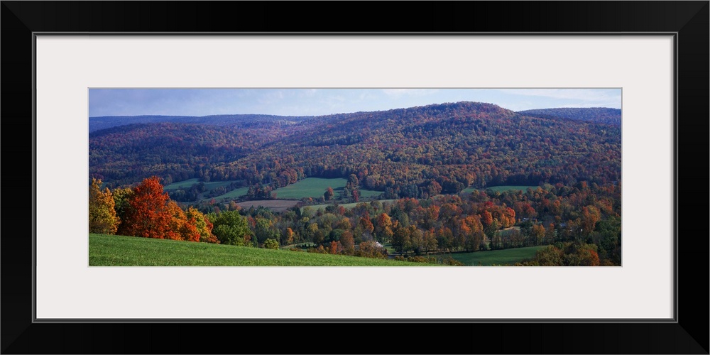 Trees on a hill, Adams, Berkshire County, Massachusetts