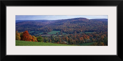 Trees on a hill, Adams, Berkshire County, Massachusetts