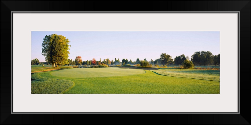 Trees on a landscape, Fairfax National Golf Club, Centreville, Virginia