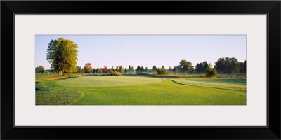 Trees on a landscape, Fairfax National Golf Club, Centreville, Virginia