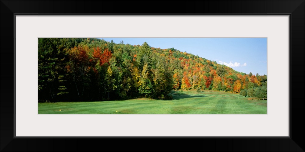 Trees on a landscape, Jackson, New Hampshire, New England