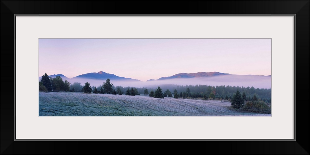 Trees on a landscape, Lake Placid, Adirondack Mountains, New York State