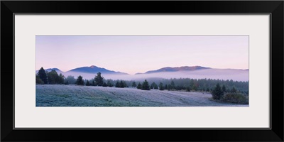 Trees on a landscape, Lake Placid, Adirondack Mountains, New York State