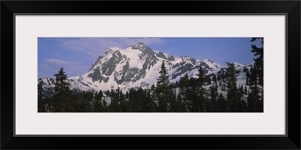 Trees on a snow covered mountain, Mt Shuksan, Mt Baker-Snoqualmie National Forest, Washington State