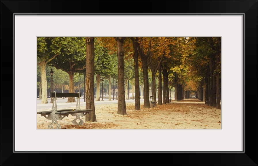 This panoramic photograph is looking down a long path with both trees and benches lining the sides.