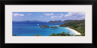 Trees on the coast, Trunk Bay, Virgin Islands National Park, St. John, US Virgin Islands