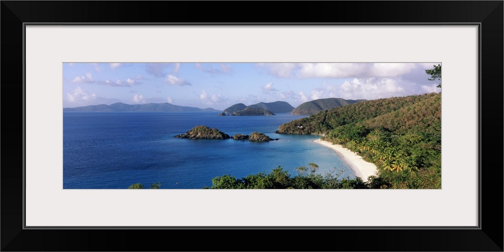 Trees on the coast, Trunk Bay, Virgin Islands National Park, St. John, US Virgin Islands