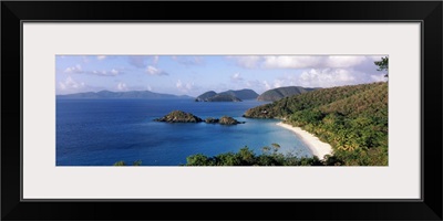 Trees on the coast, Trunk Bay, Virgin Islands National Park, St. John, US Virgin Islands