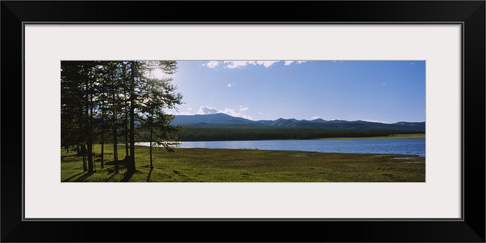 Trees on the lakeside, Lake Khuvsgul, Independent Mongolia