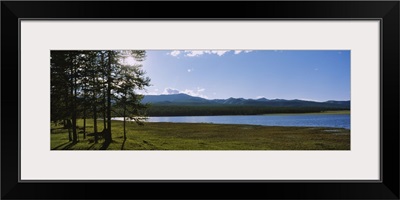 Trees on the lakeside, Lake Khuvsgul, Independent Mongolia