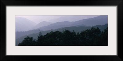 Trees with a mountain range in the background, Blue Ridge Parkway, North Carolina