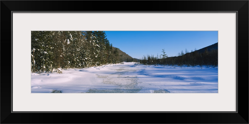 Tress along a frozen lake, Piseco Lake, Oxbow Lake, Adirondack Mountains, New York State