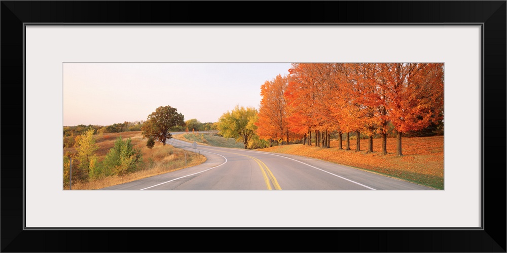 Tress along a two lane highway