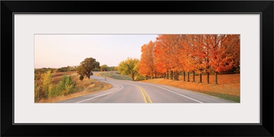 Tress along a two lane highway