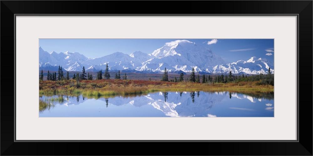 Tundra Pond Denali National Park AK