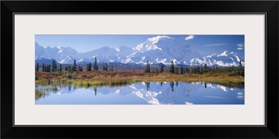 Tundra Pond Denali National Park AK