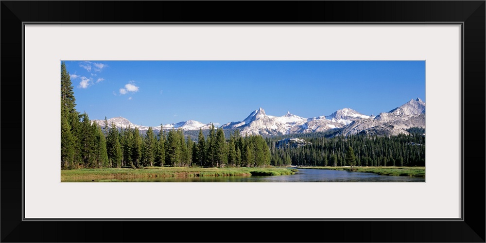 Unicorn Corkscomb Cathedral Peaks Tuolumne River Yosemite National Park CA