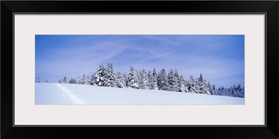 Vermont, winter hillside with ski tracks