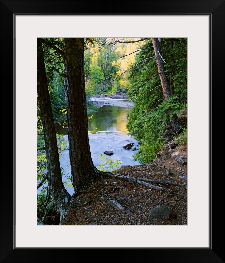 View of Gooseberry River through forest trees, Gooseberry Falls State Park, Minnesota