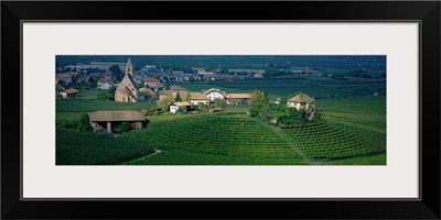 Vineyard Adige Valley Trentino-Alto-Adige Italy