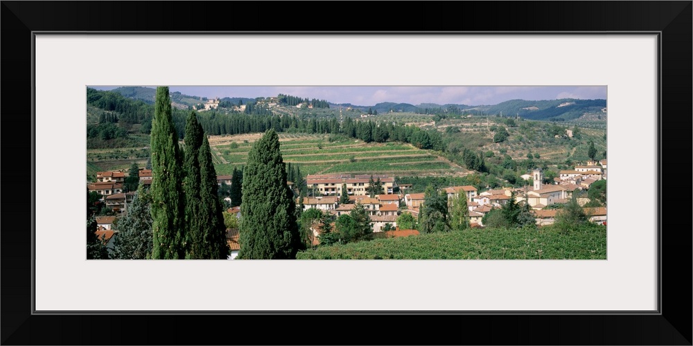 Vineyard Chianti Tuscany Italy