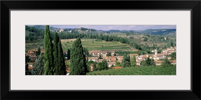 Vineyard Chianti Tuscany Italy