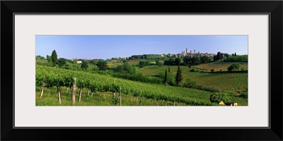 Vineyards and Medieval Town of San Gimignano Tuscany Italy