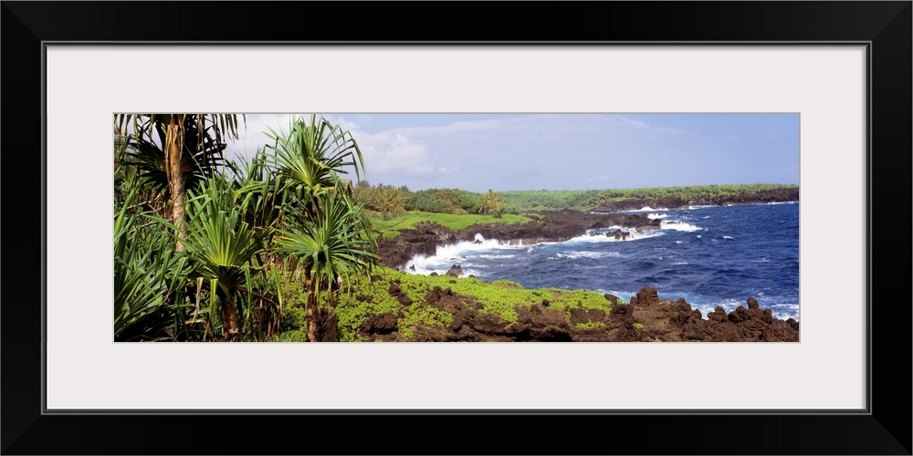 Wainanapanapa State Park Maui Coast HI