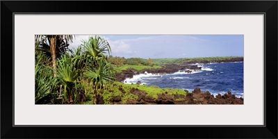 Wainanapanapa State Park Maui Coast HI