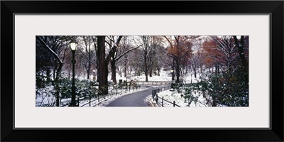 Walkway in a park, Central Park, Manhattan, New York City, New York