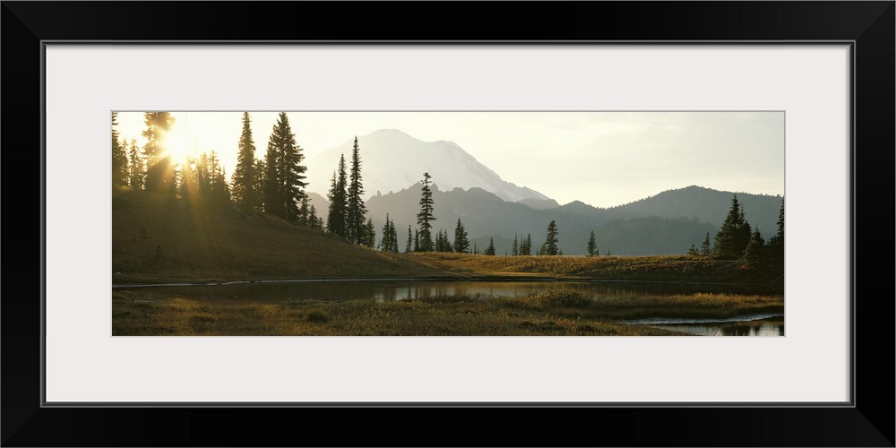 Horizontal, large photograph of the sun setting over a tree covered hillside in Mount Rainier National Park in Washington,...