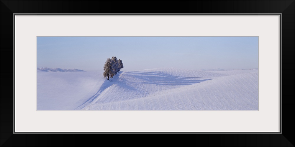 Washington, Tree in a winter landscape