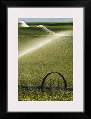 Water spraying from irrigation sprinklers on green farmland hills, selective focus close up, Montana