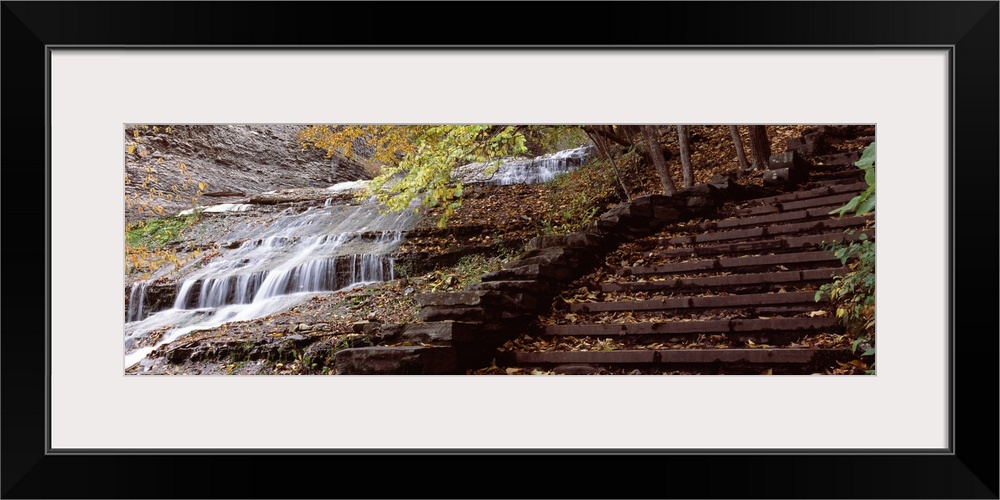 Waterfall in a forest Buttermilk Falls Buttermilk Falls State Park Ithaca Finger Lakes New York State