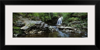 Waterfall in a forest, Falls of Falloch, River Falloch, Argyll And Bute, Highlands Region, Scotland