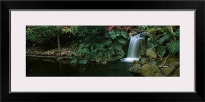 Waterfall in a forest, Lanai, Maui, Hawaii