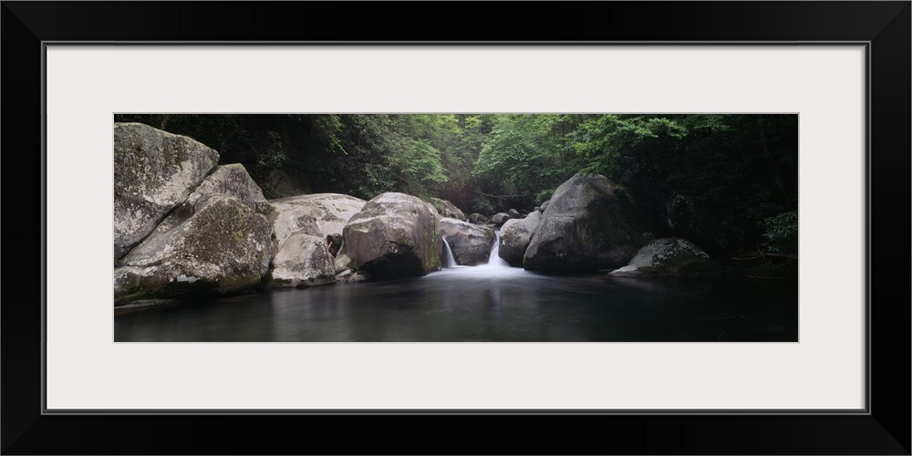 Waterfall in a forest, Midnight Hole, Big Creek, Great Smoky Mountains National Park, North Carolina