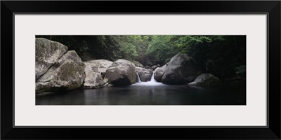 Waterfall in a forest, Midnight Hole, Big Creek, Great Smoky Mountains National Park, North Carolina