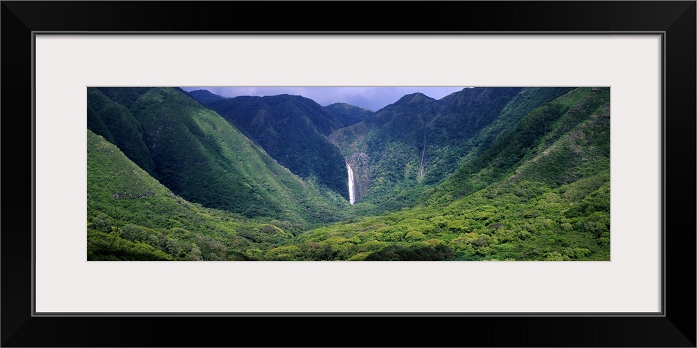 Waterfall in a forest, Moaula Falls, Halawa Valley, Molokai, Hawaii