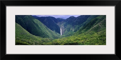 Waterfall in a forest, Moaula Falls, Halawa Valley, Molokai, Hawaii