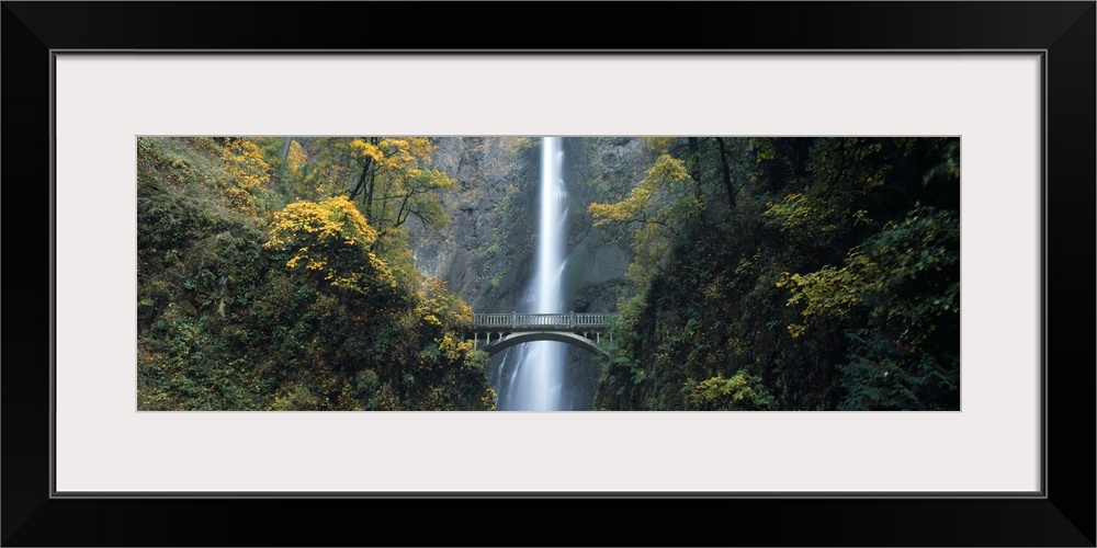 Waterfall in a forest Multnomah Falls Columbia River Gorge Multnomah County Oregon