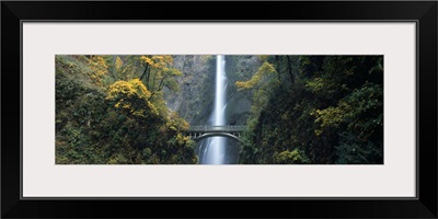 Waterfall in a forest Multnomah Falls Columbia River Gorge Multnomah County Oregon