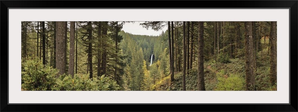 A large waterfall is shown far off in the distance with trees surrounding it and photographed in the foreground.