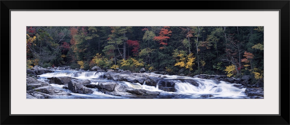 Waterfall in a forest, Swift River, Conway, Carroll County, New Hampshire