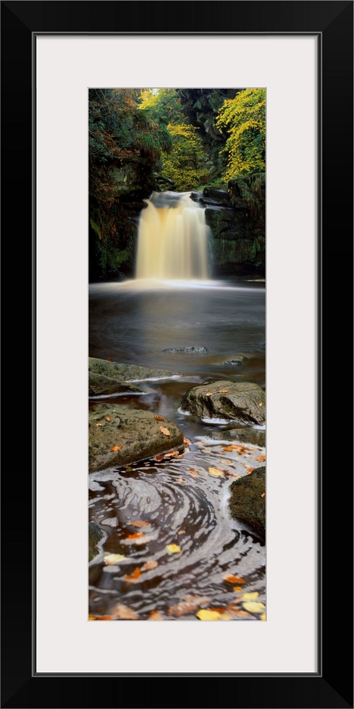 Waterfall in a forest, Thomason Foss, Goathland, North Yorkshire, England