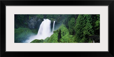 Waterfall in lush green forest