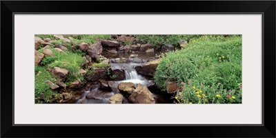 Waterfall Steens Mountain Area OR