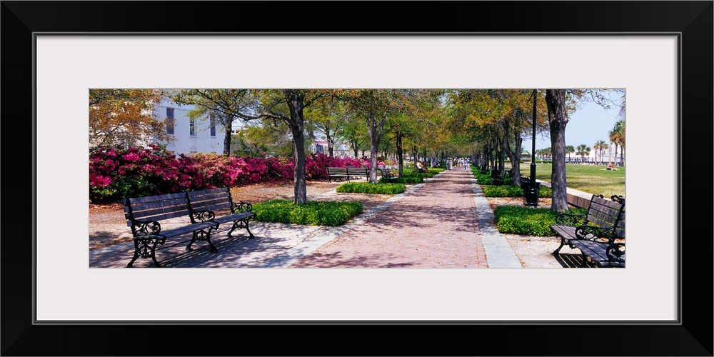 Panoramic of a long tree lined brick walkway in historic waterfront Charleston, South Carolina.