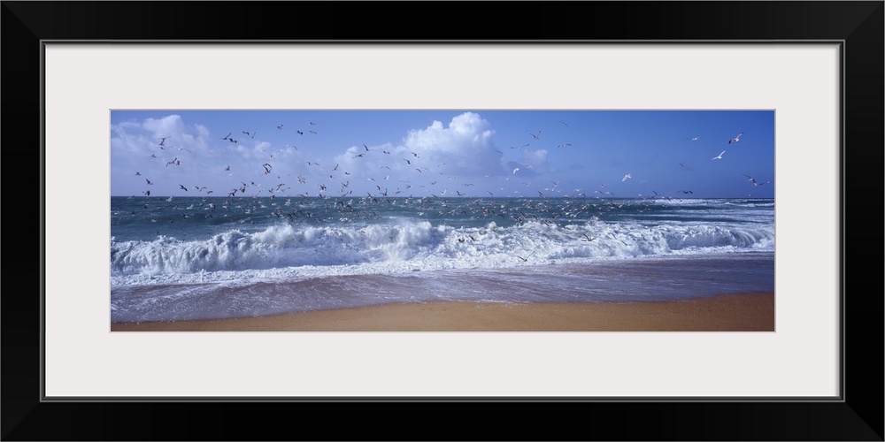 Wide angle photograph of waves crashing into the sandy shore, as a flock of birds sly overhead, in Morbihan, Brittany, Fra...