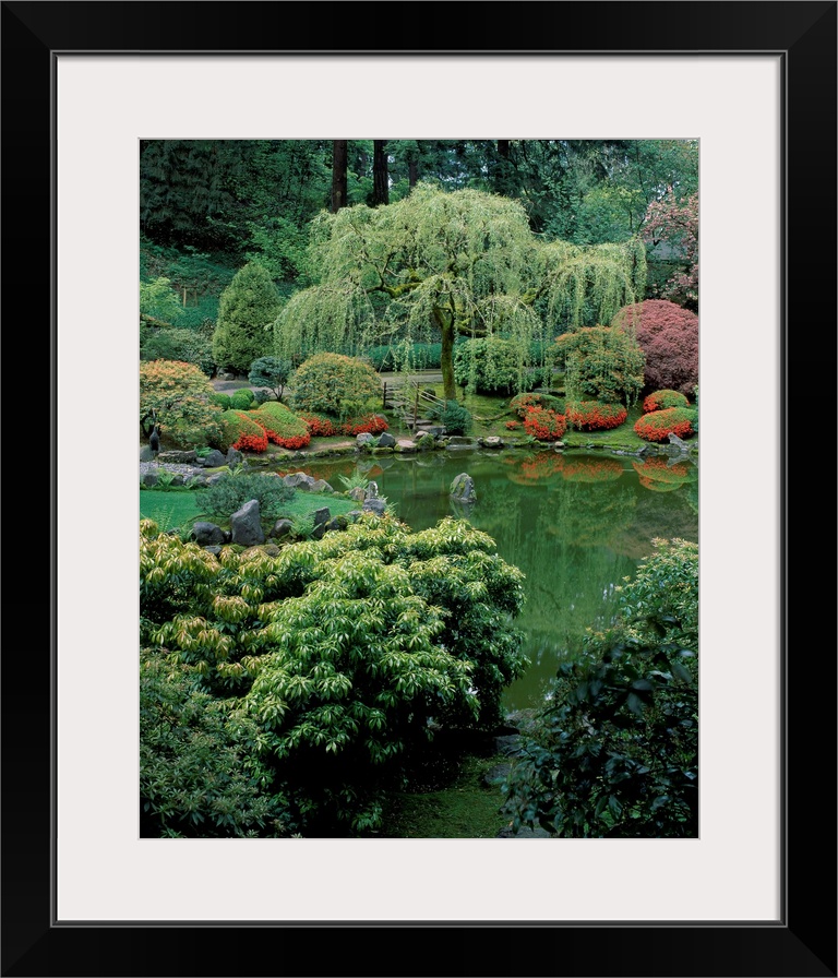 Weeping WIllow and pond, Japanese Garden, Washington Park, Portland, Oregon